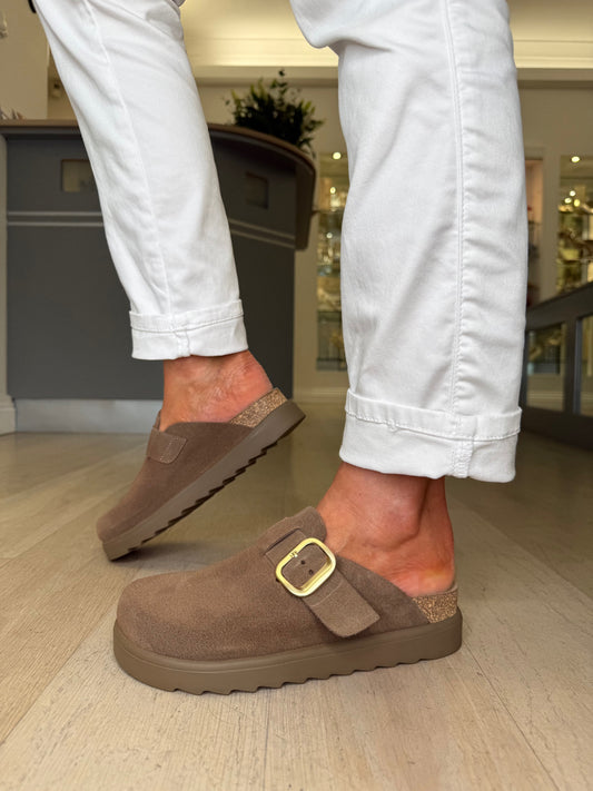 Yokono - Rich Mocha Brown Mule Clog With Matt Gold Buckle Trim