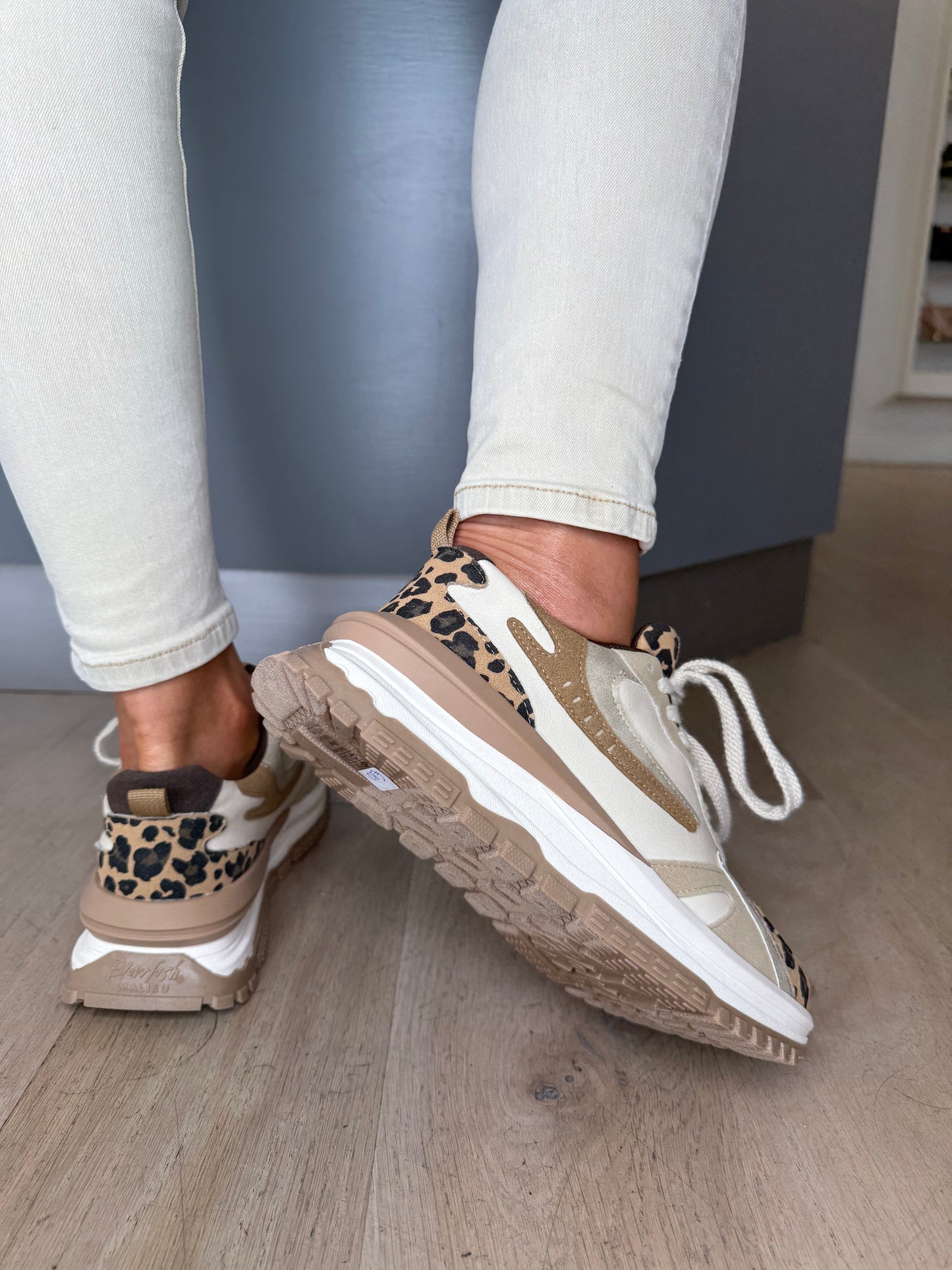 Blowfish Malibu - Leo Leopard Print / Cream Multi Lace Up Chunky Trainer