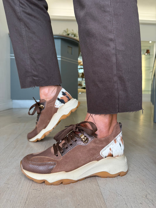 Hispanitas -Brown Suede/ Leather Animal Print Trainer With Metallic Bronze trim