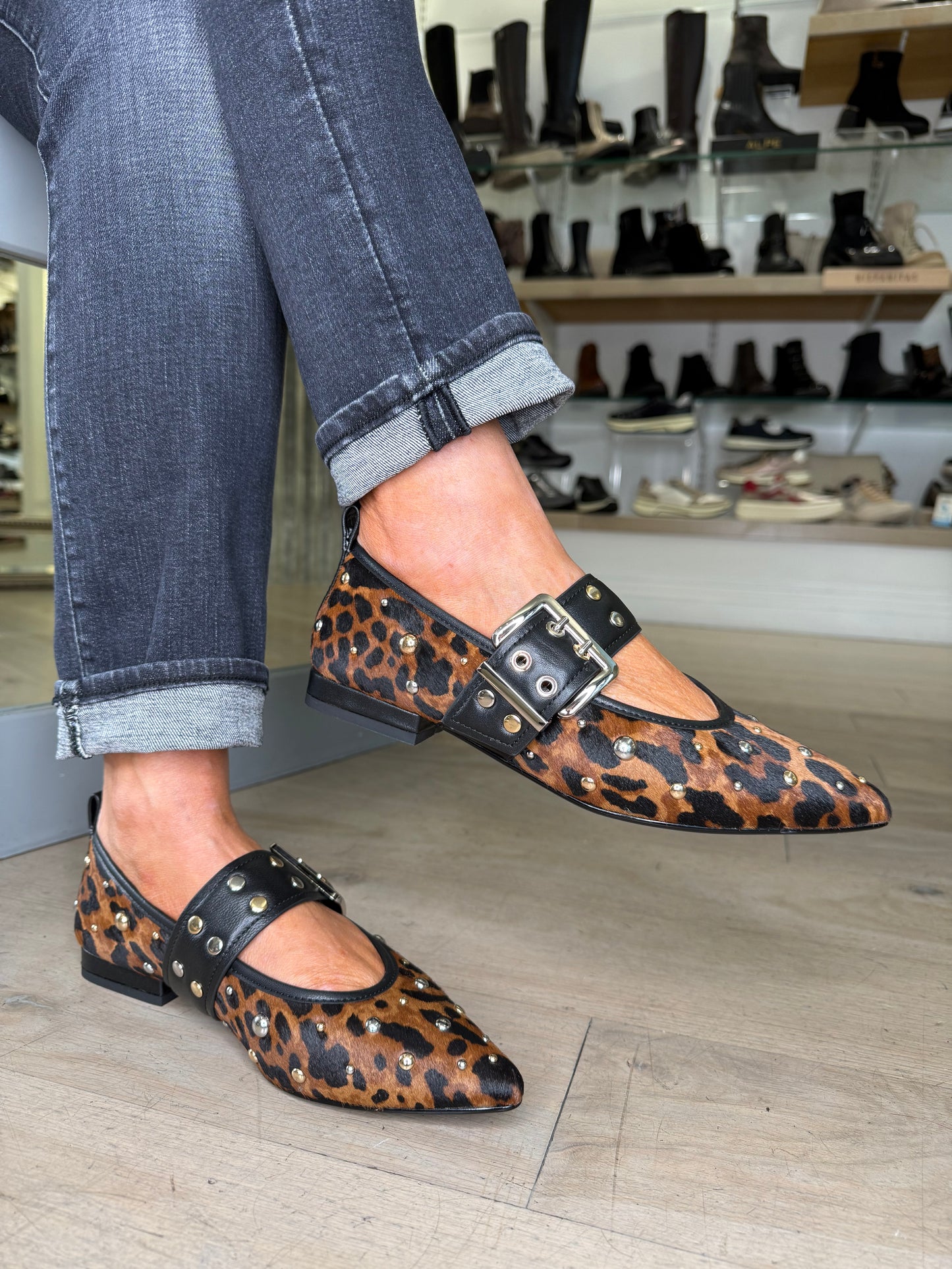 Lodi - Leopard Print Pointy Toe Pomps With Studded Trim