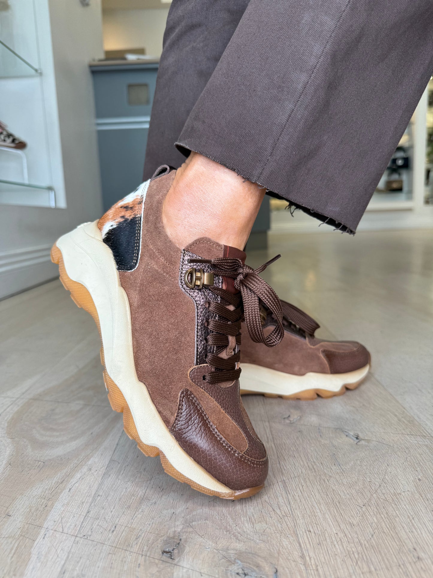 Hispanitas -Brown Suede/ Leather Animal Print Trainer With Metallic Bronze trim
