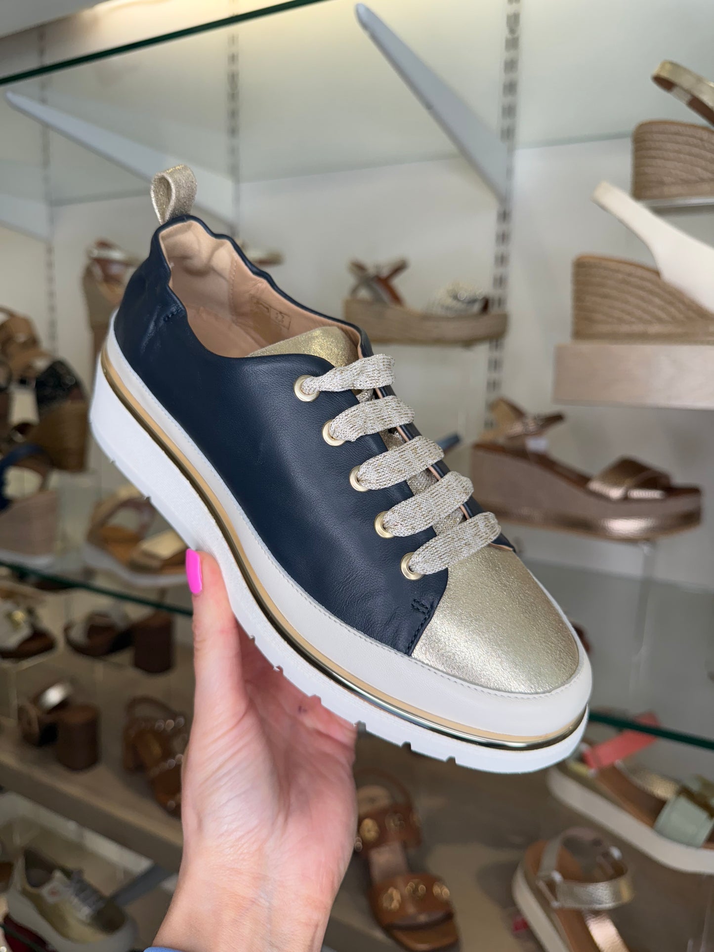 XSA - Navy & Cream Lace Up Wedge Shoe With Gold Trim