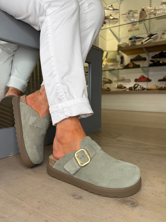 Yokono - Soft Green Suede Mule Clog With Matt Gold Buckle Trim