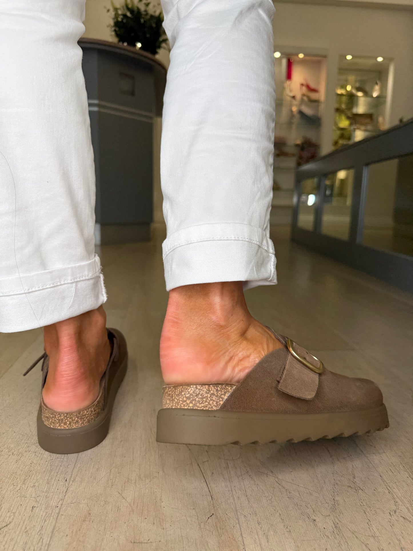 Yokono - Rich Mocha Brown Mule Clog With Matt Gold Buckle Trim