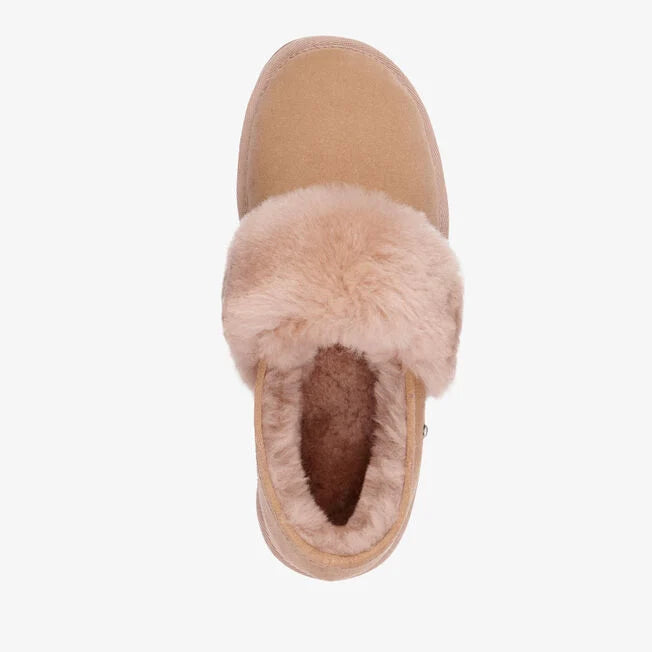 Emu Australia - Daydream Camel Slippers