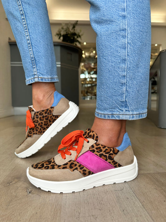 Ara - Leopard Print / Multi Coloured Trainer