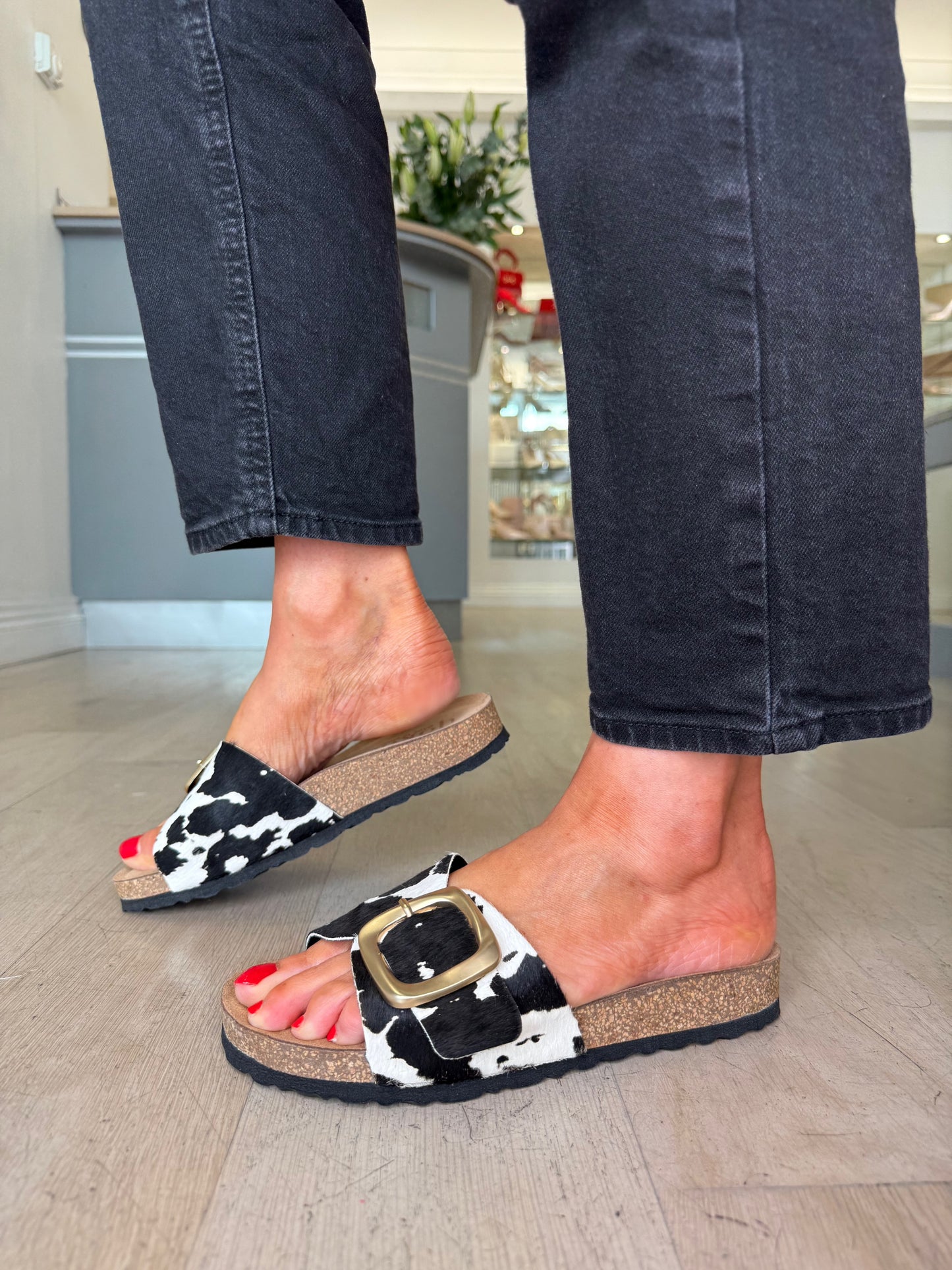 Yokono - Black & White Cow Print Slider With Antique Gold Buckle Trim