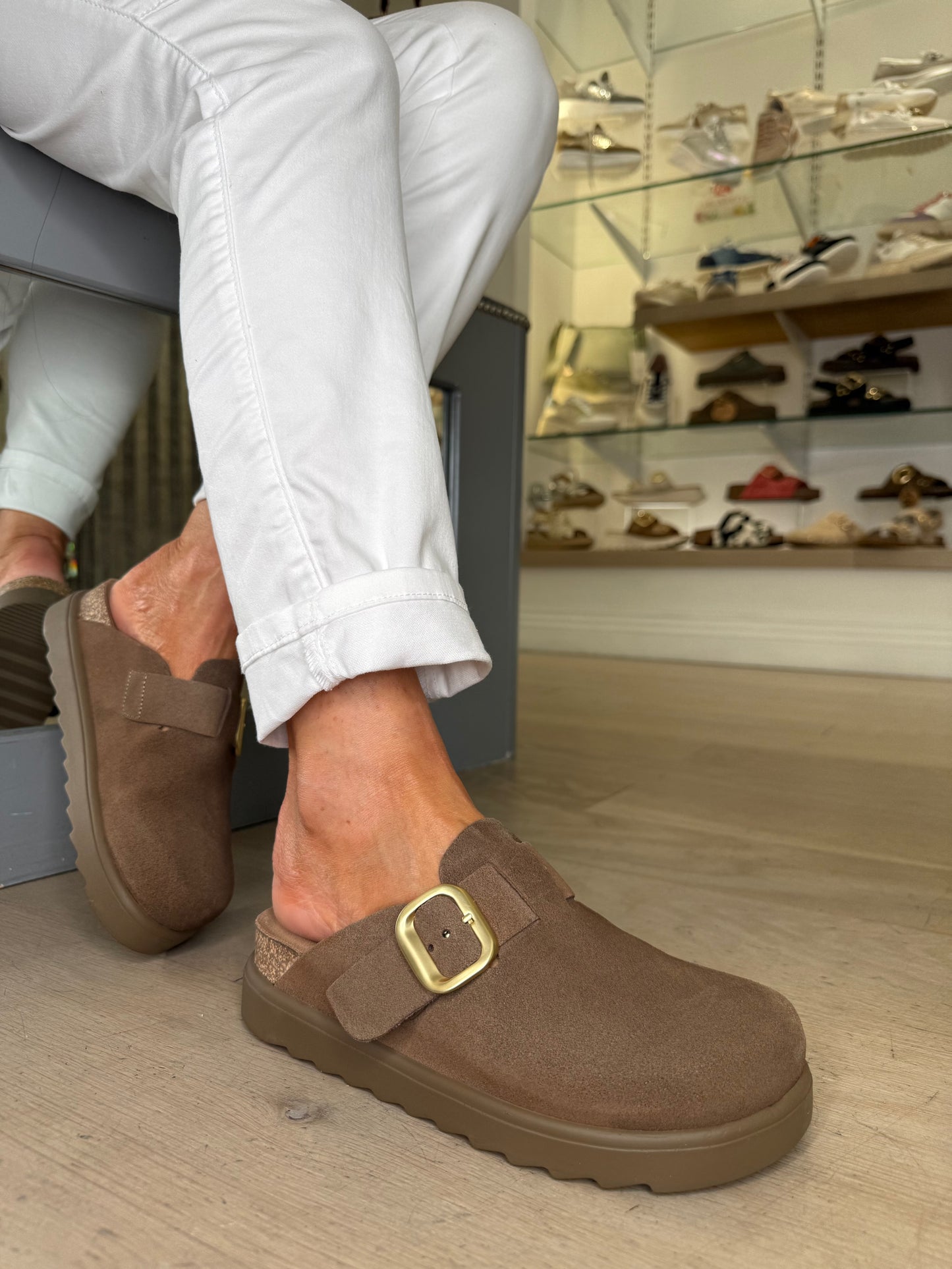 Yokono - Rich Mocha Brown Mule Clog With Matt Gold Buckle Trim