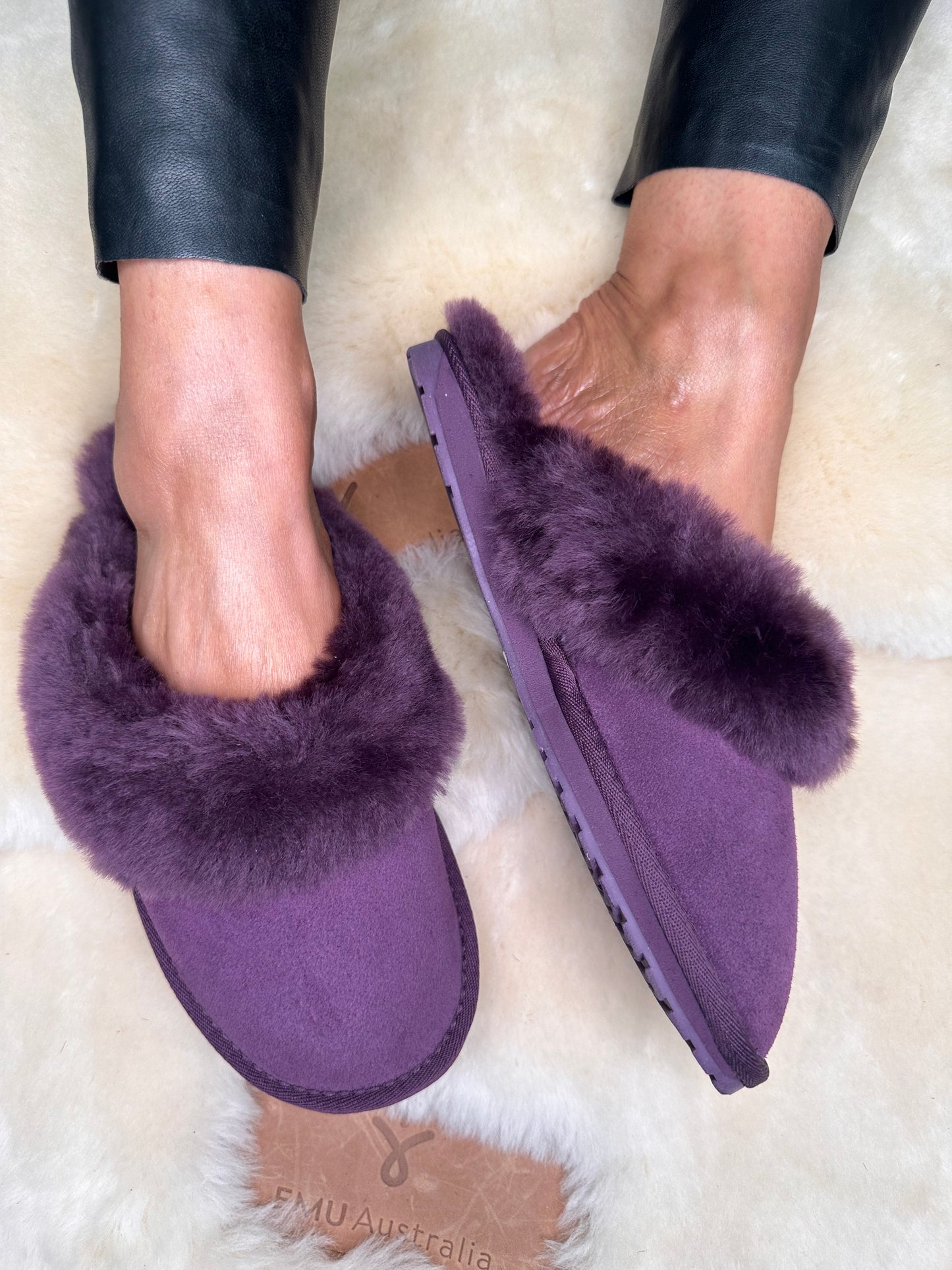 Emu Australia - Jolie Plum Slipper