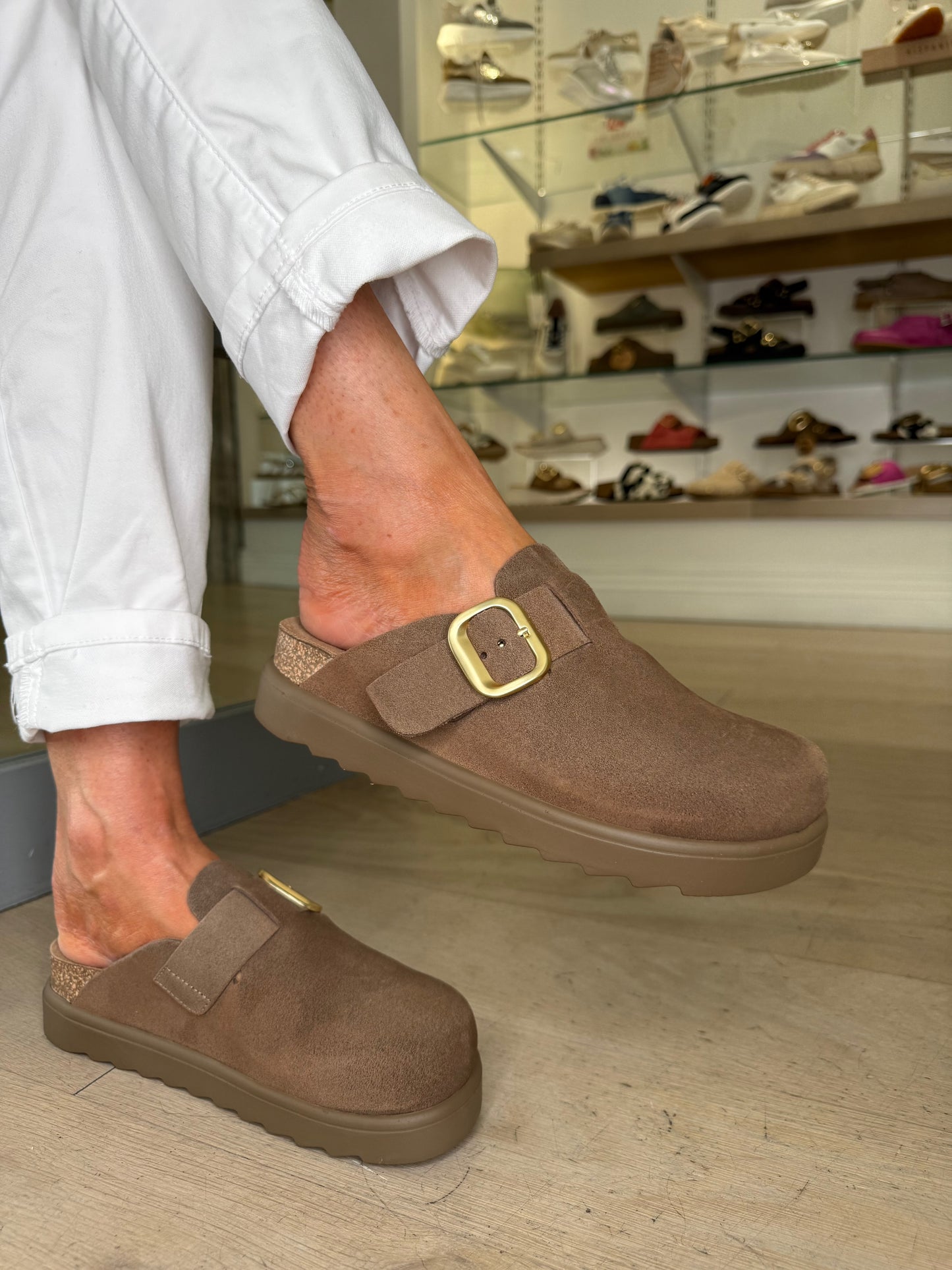 Yokono - Rich Mocha Brown Mule Clog With Matt Gold Buckle Trim