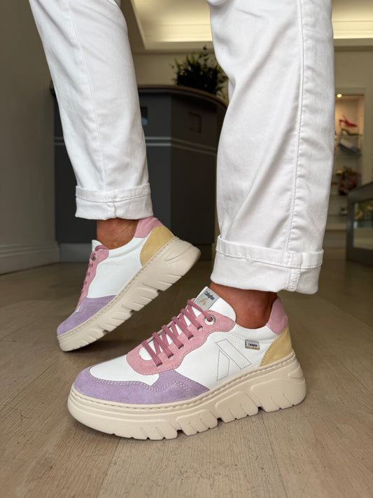 Callaghan - Leather & Suede Mix Multi Trainer